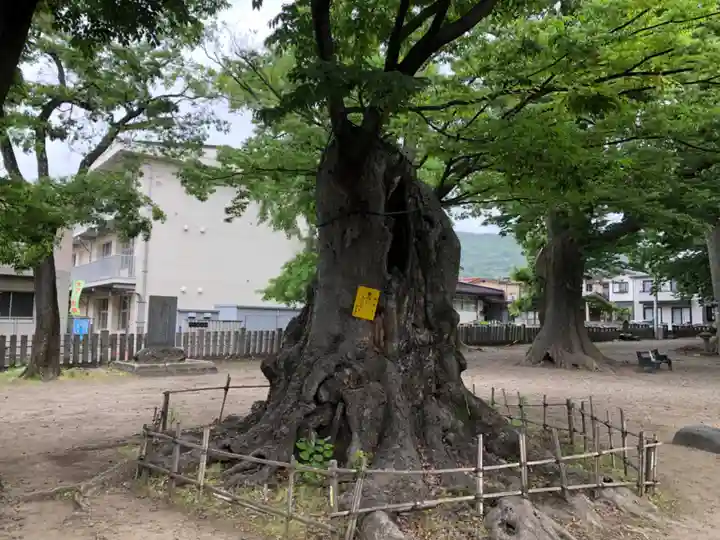 美和神社の自然