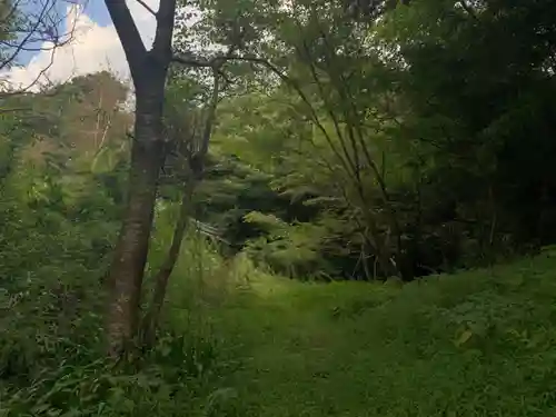 妙見神社の自然