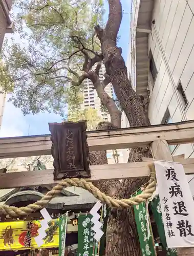 少彦名神社の鳥居