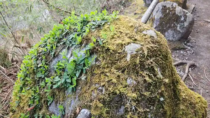 慈雲寺(並び地蔵 化け地蔵)(栃木県)