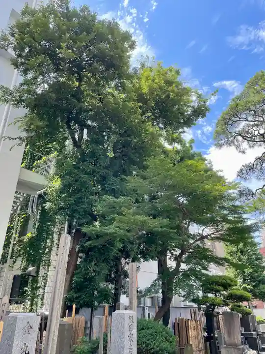 髙福院(東京都)