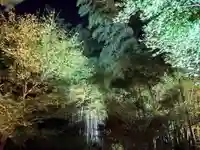 高台寺(高台寿聖禅寺・高臺寺)(京都府)