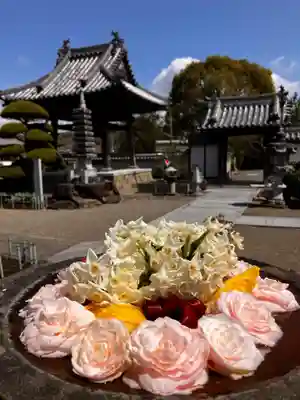 真言宗　善通寺派　薬王寺(香川県)