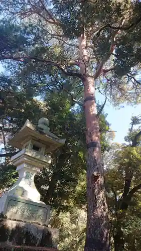 唐澤山神社のその他建物
