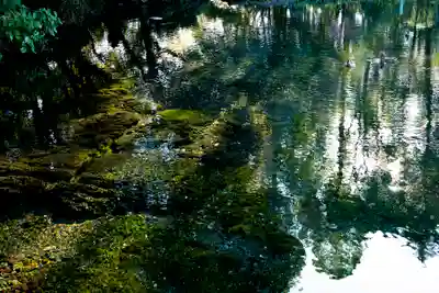 富士山本宮浅間大社(静岡県)