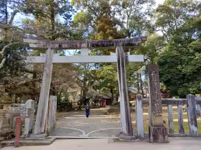 手向山八幡宮の{uncategorized: "未分類", other: "その他", undefined: "問題あり", building: "その他建物", grave: "お墓", sacred_gate: "鳥居", guardian: "狛犬", statue: "像", buddha: "仏像", history: "歴史", nature: "自然", garden: "庭園", animal: "動物", pagoda: "塔", temizu: "手水舎", mountain_gate: "山門・神門", sanctuary: "本殿・本堂", subordinate: "末社・摂社", art: "芸術", scenery: "景色", jizo: "地蔵", ema: "絵馬", goshuin: "御朱印", omikuji: "おみくじ", items: "授与品その他", amulet: "お守り", goshuincho: "御朱印帳", eats: "食事", festival: "お祭り", votive_dance: "神楽", shichigosan: "七五三参", wedding: "結婚式", experience: "体験その他", initially: "初詣", around: "周辺", anti_infection: "感染症対策"}