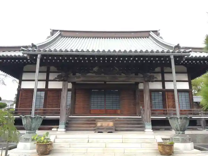 徳願寺の本殿・本堂