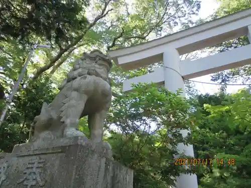 二本松神社の狛犬