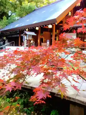 乃木神社(東京都)