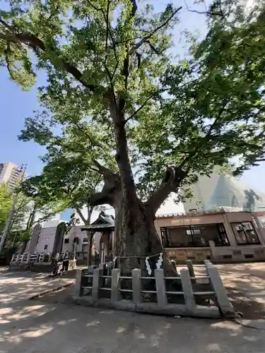 阿邪訶根神社の庭園