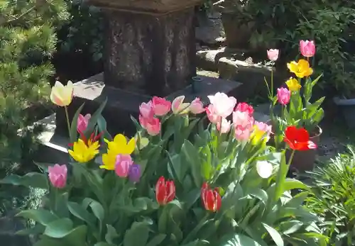 大念寺(大阪府)