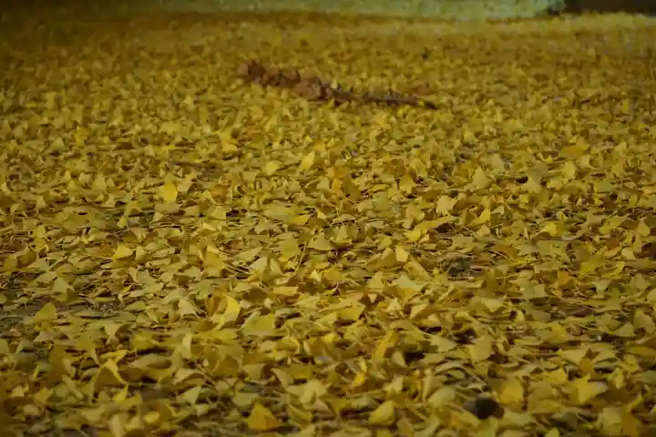 丹生酒殿神社の自然