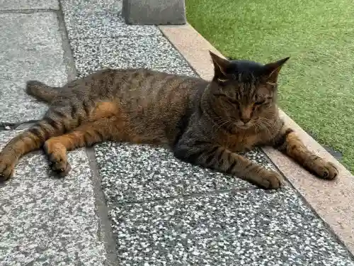 露天神社（お初天神）(大阪府)