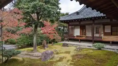 建仁寺（建仁禅寺）(京都府)