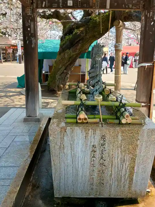 喜多院の{uncategorized: "未分類", other: "その他", undefined: "問題あり", building: "その他建物", grave: "お墓", sacred_gate: "鳥居", guardian: "狛犬", statue: "像", buddha: "仏像", history: "歴史", nature: "自然", garden: "庭園", animal: "動物", pagoda: "塔", temizu: "手水舎", mountain_gate: "山門・神門", sanctuary: "本殿・本堂", subordinate: "末社・摂社", art: "芸術", scenery: "景色", jizo: "地蔵", ema: "絵馬", goshuin: "御朱印", omikuji: "おみくじ", items: "授与品その他", amulet: "お守り", goshuincho: "御朱印帳", eats: "食事", festival: "お祭り", votive_dance: "神楽", shichigosan: "七五三参", wedding: "結婚式", experience: "体験その他", initially: "初詣", around: "周辺", anti_infection: "感染症対策"}