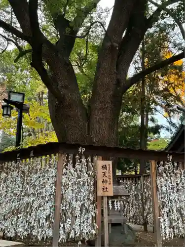 平塚八幡宮(神奈川県)