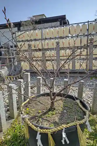 桑名宗社（春日神社）(三重県)