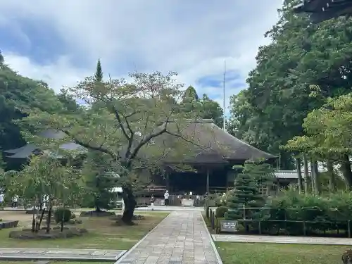 國分寺(高知県)