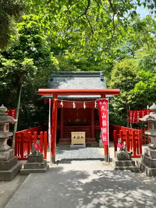 丸山稲荷社(鶴岡八幡宮)の{uncategorized: "未分類", other: "その他", undefined: "問題あり", building: "その他建物", grave: "お墓", sacred_gate: "鳥居", guardian: "狛犬", statue: "像", buddha: "仏像", history: "歴史", nature: "自然", garden: "庭園", animal: "動物", pagoda: "塔", temizu: "手水舎", mountain_gate: "山門・神門", sanctuary: "本殿・本堂", subordinate: "末社・摂社", art: "芸術", scenery: "景色", jizo: "地蔵", ema: "絵馬", goshuin: "御朱印", omikuji: "おみくじ", items: "授与品その他", amulet: "お守り", goshuincho: "御朱印帳", eats: "食事", festival: "お祭り", votive_dance: "神楽", shichigosan: "七五三参", wedding: "結婚式", experience: "体験その他", initially: "初詣", around: "周辺", anti_infection: "感染症対策"}