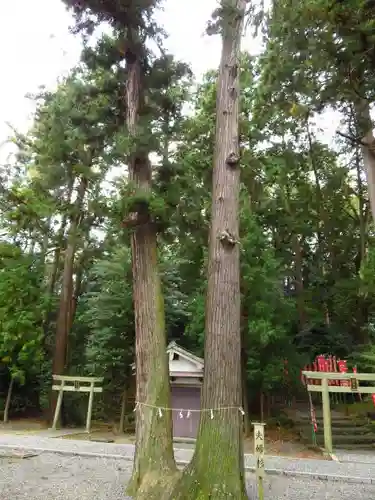 事任八幡宮の建物その他