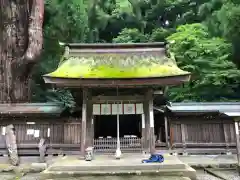 若狭姫神社（若狭彦神社下社）の本殿