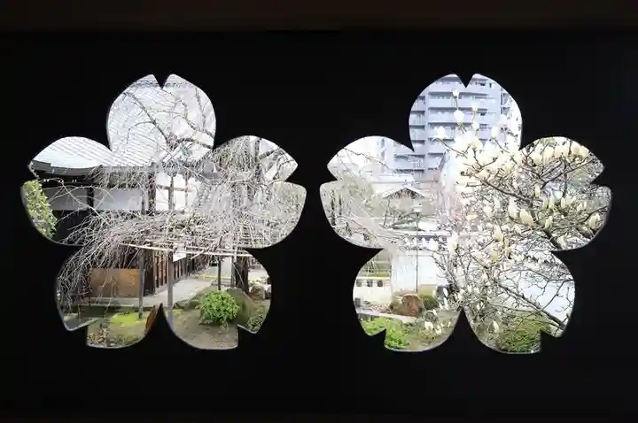 妙蓮寺(京都府)