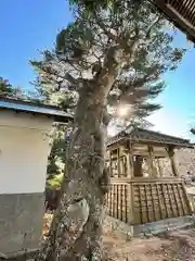金華山黄金山神社(宮城県)