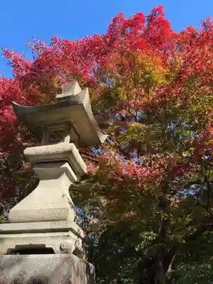 柳谷観音　楊谷寺(京都府)