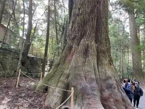伊勢神宮内宮（皇大神宮）(三重県)