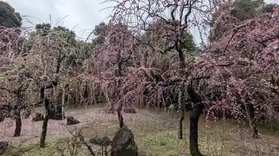 城南宮(京都府)