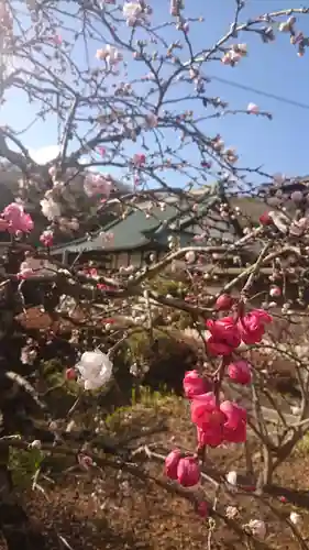 明鏡山龍雲寺の庭園