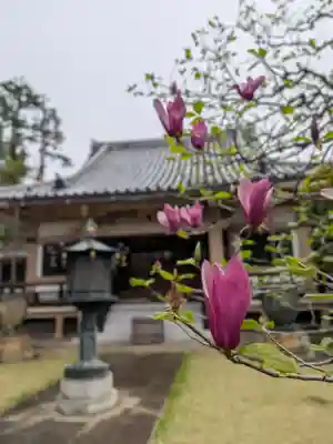 東光寺(東京都)