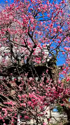 萬昌院功運寺(東京都)