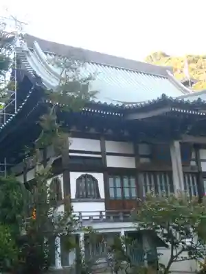 妙伝寺（妙傳寺）の本殿・本堂