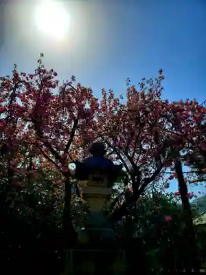 荘厳寺(東京都)