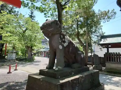 深志神社の狛犬