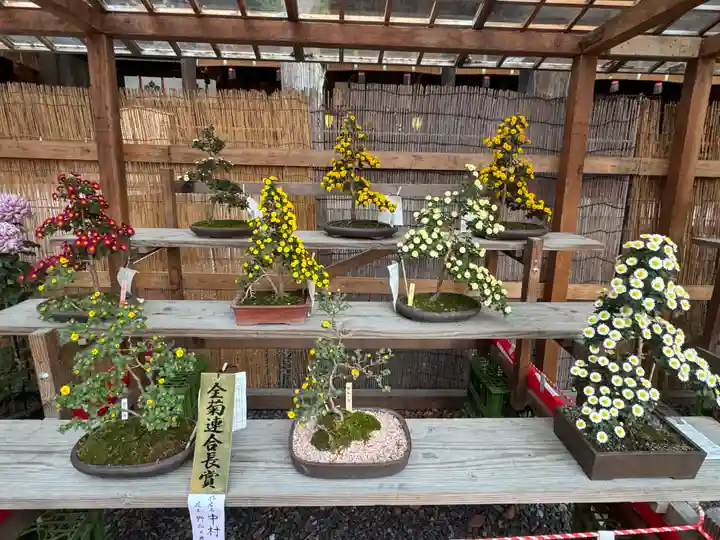 諏訪大社下社秋宮(長野県)