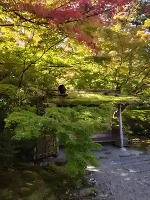 円通院(宮城県)