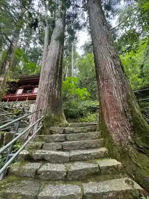 飛瀧神社(熊野那智大社別宮)(和歌山県)