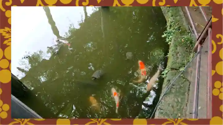 越ヶ谷久伊豆神社(埼玉県)