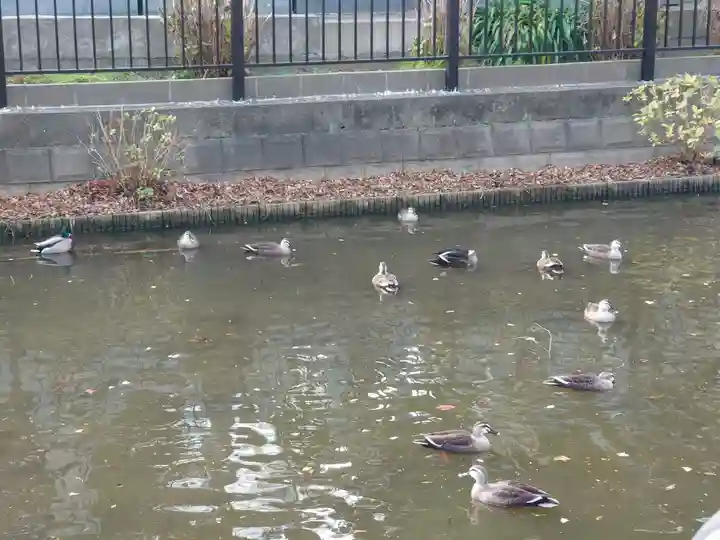 法華経寺(千葉県)
