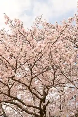 海禅寺(愛媛県)
