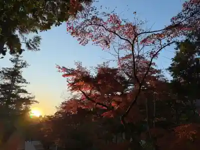 円覚寺の{uncategorized: "未分類", other: "その他", undefined: "問題あり", building: "その他建物", grave: "お墓", sacred_gate: "鳥居", guardian: "狛犬", statue: "像", buddha: "仏像", history: "歴史", nature: "自然", garden: "庭園", animal: "動物", pagoda: "塔", temizu: "手水舎", mountain_gate: "山門・神門", sanctuary: "本殿・本堂", subordinate: "末社・摂社", art: "芸術", scenery: "景色", jizo: "地蔵", ema: "絵馬", goshuin: "御朱印", omikuji: "おみくじ", items: "授与品その他", amulet: "お守り", goshuincho: "御朱印帳", eats: "食事", festival: "お祭り", votive_dance: "神楽", shichigosan: "七五三参", wedding: "結婚式", experience: "体験その他", initially: "初詣", around: "周辺", anti_infection: "感染症対策"}