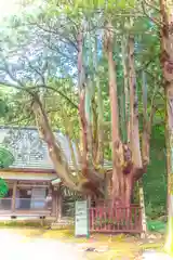 八幡神社(宮城県)