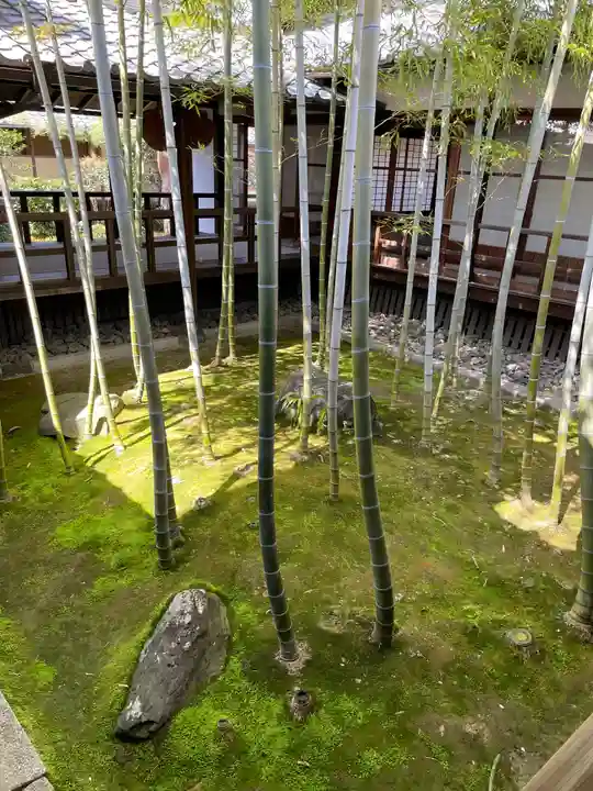 妙顯寺(妙顕寺)(京都府)