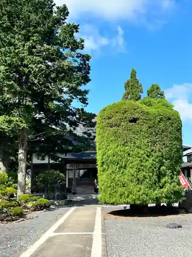 日祥山　綱正寺　置賜二十八番札所(山形県)