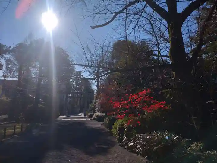 阿佐ヶ谷神明宮(東京都)