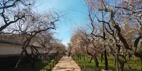 弘道館鹿島神社の庭園