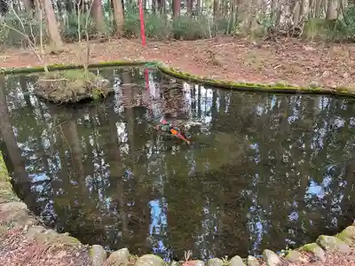 都々古別神社(八槻)(福島県)