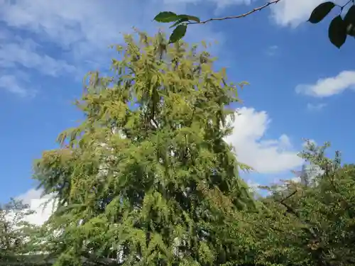 善福寺(東京都)